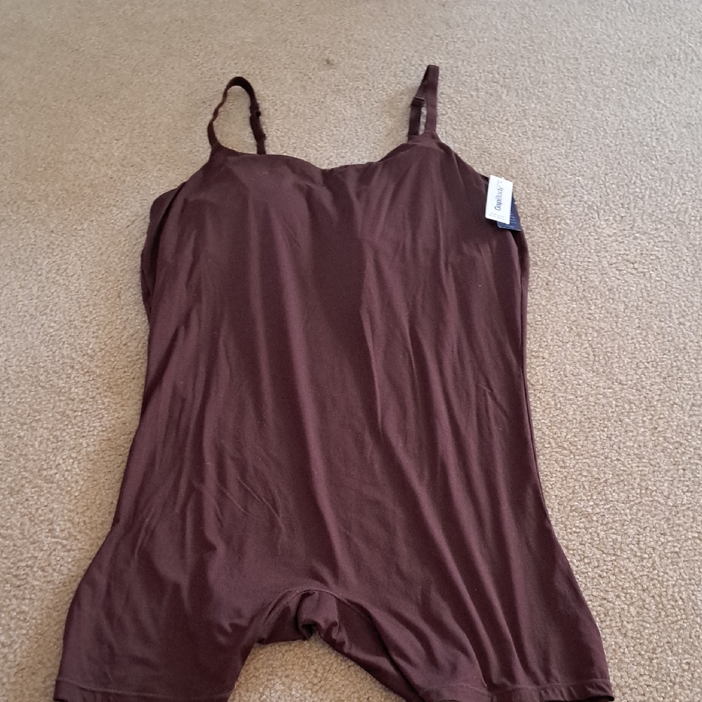 Gap Body Brown Sleeveless Bodysuit